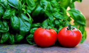 Does companion planting tomatoes and basil work