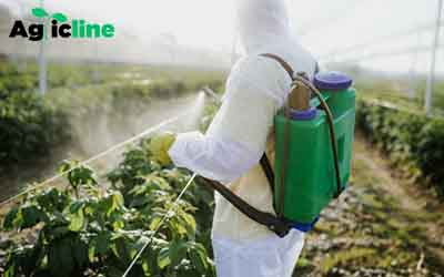 Best Methods of pest control in agriculture