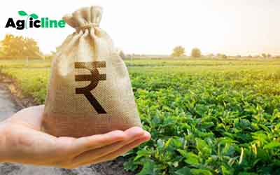 Problems faced by farmers in getting loans