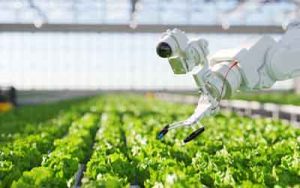 Advantages and Disadvantages of artificial intelligence in agriculture
